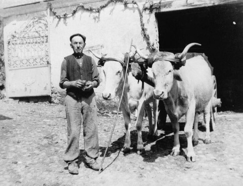 Jean Pène, oncle maternel d'henri